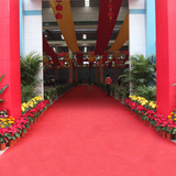 加厚红色地毯婚庆开业庆典舞台满铺地垫不织布工厂直销批发