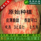 【尧坝】新鲜苹果水果陕西洛川农家红富士苹果批发包邮冰糖心好吃