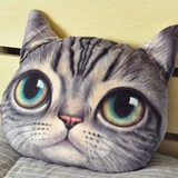 喵星人可爱立体猫咪靠垫抱枕猫猫玩偶公仔创意毛绒玩具女生日礼物