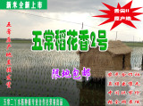新米东北黑龙江五常大米稻花香米纯天然有机5kg包邮