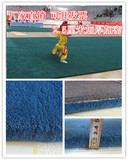 武术比赛训练拉丁伦巴舞蹈练习地毯加厚防滑可定制尺寸颜色图案