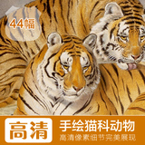 西方手绘风格老虎/狮子/豹子/猫科动物绘画图谱/装饰无框画素材