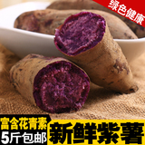 新鲜红薯地瓜紫心5斤 香甜生番薯紫薯山芋广西农家土特产特价包邮