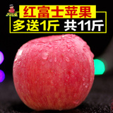 太阳果 山东烟台栖霞红富士大苹果10斤新鲜水果批发特价吃的特产