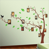 沙发客厅创意班级小学教室文化布置墙贴纸可转移包邮照片墙相片树