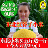 新小米农家自产 东北有机吃的小米小黄米月子米黄小米粥杂粮500g