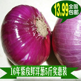 自种有机洋葱 绿色新鲜蔬菜农产品紫皮洋葱头红皮圆葱5斤装 包邮