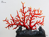 公装 酒店 会所 样板间 雕塑艺术品摆件 红珊瑚 木+树脂电镀红
