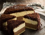 现货！日本北海道 LeTAO  限定 可可巧克力浓郁双层乳酪芝士蛋糕