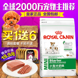 皇家 奶糕狗粮泰迪贵宾比熊博美小型犬幼犬主粮MIS30 3kg全国包邮