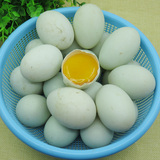 广西北部湾红树林天然谷物喂养正宗绿色新鲜生海鸭蛋 50枚起包邮
