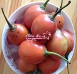 云南特产 绿色野生食品 新鲜美味树番茄 洋酸茄酸甜开胃当季鲜果