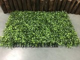 40*60塑料草坪 绿化墙体假叶子 米兰草坪绿植装饰绿色植物背景墙