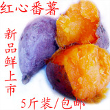 新产四川新鲜红薯地瓜种子红皮红心红薯红苕烤红薯烤番薯5斤包邮