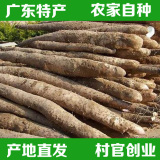 新鲜淮山粉山药蔬菜农家自种特产煲汤甜品500g