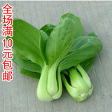 阳台种菜蔬菜种子 苏州青种子 青菜种子 盆栽菜籽 抗病耐寒易种植