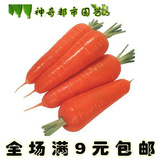 胡萝卜种子 阳台盆栽四季蔬菜种子春季种易种秋播满9元包邮