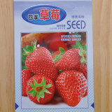 菜农兴632四季草莓]盆栽水果草莓种子特育良种 汁多肉厚营养丰富