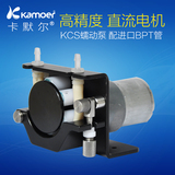 微型水泵12V 24V蠕动泵 计量直流电机蠕动泵 小型抽水泵增压泵