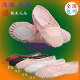 儿童舞蹈鞋女童芭蕾舞鞋成人体操鞋现代舞练功鞋软底粉瑜伽猫爪鞋