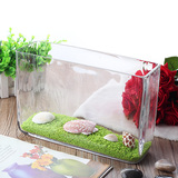 包邮透明金鱼缸水族箱玻璃加高长方形水培植物容器花瓶桌面摆放