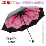 韩国折叠晴雨伞 创意学生黑胶太阳伞 女遮阳防晒防紫外线特价代购
