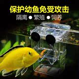 吉印小型鱼热带鱼隔离盒幼鱼孵化盒鱼缸孔雀鱼繁殖箱亚克力孵化器