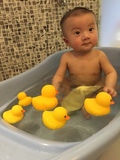 儿童洗澡喷水小动物玩具 婴儿捏捏叫大黄鸭 宝宝洗澡戏水玩具