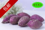 正宗越南进口新鲜小紫薯地瓜紫红薯番薯山芋1件5斤包邮活动优惠