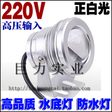 220V 10W正白光大功率LED照明灯防水 聚光凸透镜 LED户外水底灯