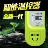 数显陆龟爬虫智能温控器 温度控制器开关电子温控仪控温插座