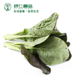 绿仁农家自产生态蔬菜新鲜有机 紫色上海青 250g一份厦门同城配送