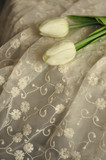 直供日本纯棉绣花水溶蕾丝布料 拼接 窗帘窗纱婚纱衣料  1米28元