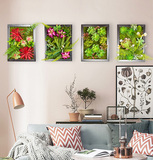 绿洲创意墙上装饰品 仿真多肉植物墙饰壁饰挂饰 客厅墙面壁挂件