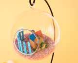悬挂玻璃球空心植物吊瓶水滴花瓶创意家居水培花瓶挂饰品球星鱼缸