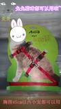 垂耳猫猫咪兔子活体 牵引绳 外带溜兔子 兔子用品 背带绳包邮