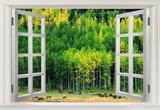 可定制家居装饰高档窗外风景画自粘客厅背景墙贴纸假窗贴膜树林