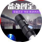 2016超亮USB充电i365nm紫光手电筒i化妆品面膜验钞紫外线灯手电筒