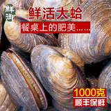 鲜御 烟台新鲜现捞大蛤 天鹅蛋 紫石房蛤 鲜活海鲜贝类2斤装 顺丰