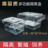 鱼苗孵化盒孔雀鱼透明繁殖盒斗鱼隔离箱亚克力双层自浮孵化盒大号