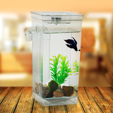 洁鱼缸迷你缸办公桌面免换水创意生态小型金鱼缸水族箱斗鱼自