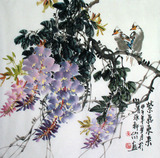 中国画花鸟名家作品原稿纯手绘水墨画四尺斗方紫藤小鸟 紫气东来