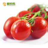 【鲜农乐】海南千禧红圣女果1.6斤 新鲜西红柿小番茄 水果蔬果