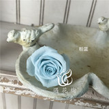 日本进口大地农园DIY永生玫瑰保鲜花3.5-4.5cm粉蓝色永生花材批发