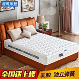 海马床垫 独立弹簧床垫 乳胶弹簧床垫 软席梦思 双人 1.5米1.8米