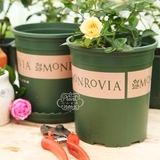 正品 环球外贸印花 MONEOVIA塑料花盆 1-5加仑盆 可选托盘2个起卖