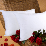 优雅100羽丝绒枕头枕芯一对双人单人成人护颈椎保健枕床上用品