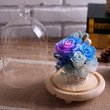 DIY永生花玻璃罩 保鲜花罩 蛋糕罩微 景观花瓶 厂家批发 直径12cm