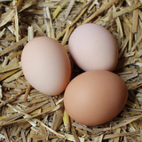 【金龙刺】土鸡蛋36枚 正宗杂粮散养野鸡蛋 新鲜农家营养草鸡蛋