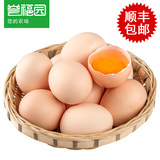 【誉福园】新鲜土鸡蛋农家柴鸡蛋 橘园土鸡蛋40枚 顺丰包邮直达